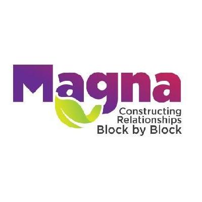 Magna AAC Blocks