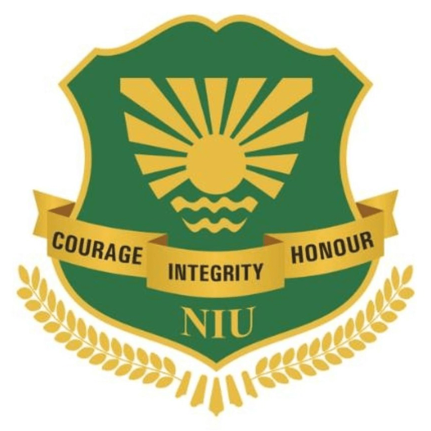 Noida International University