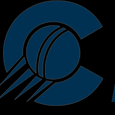 Cbtorg Insights