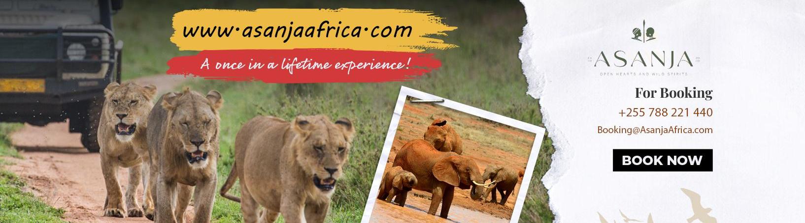 Asanja Africa