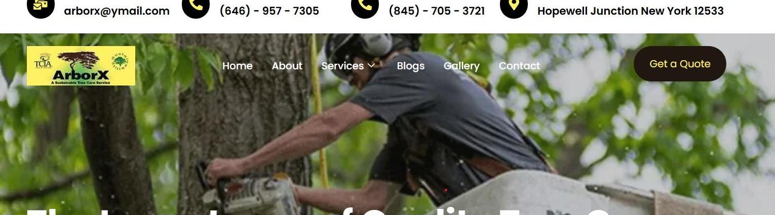 Arborx Tree Service Tree Service
