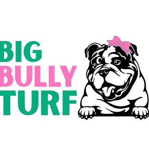 Big Bully  Turf