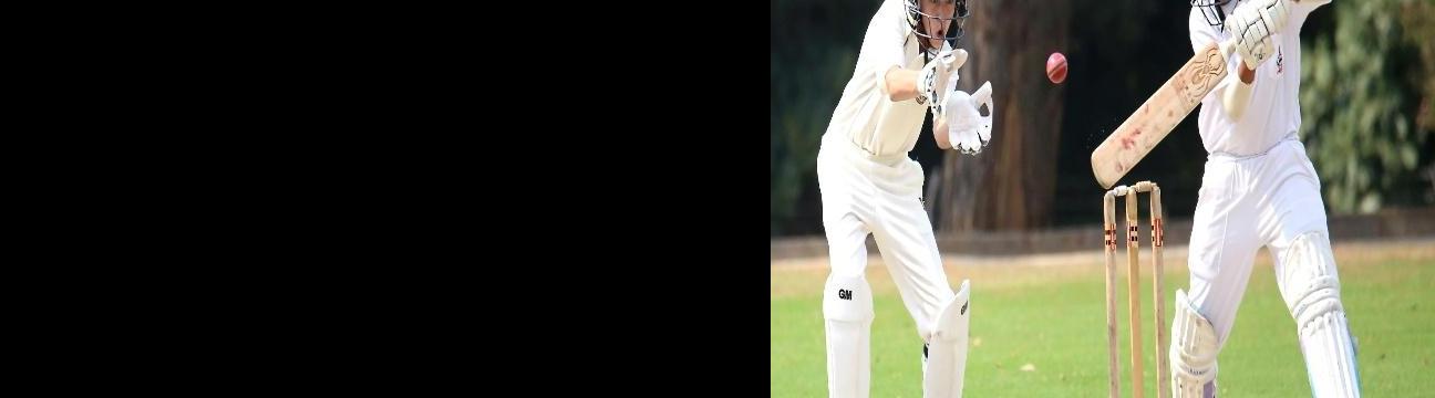 Cricket Games