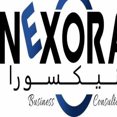 NEXORA   Business Consultancy