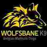 Wolfs Bane K9