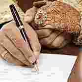 Court Marriage Cost In Pakistan