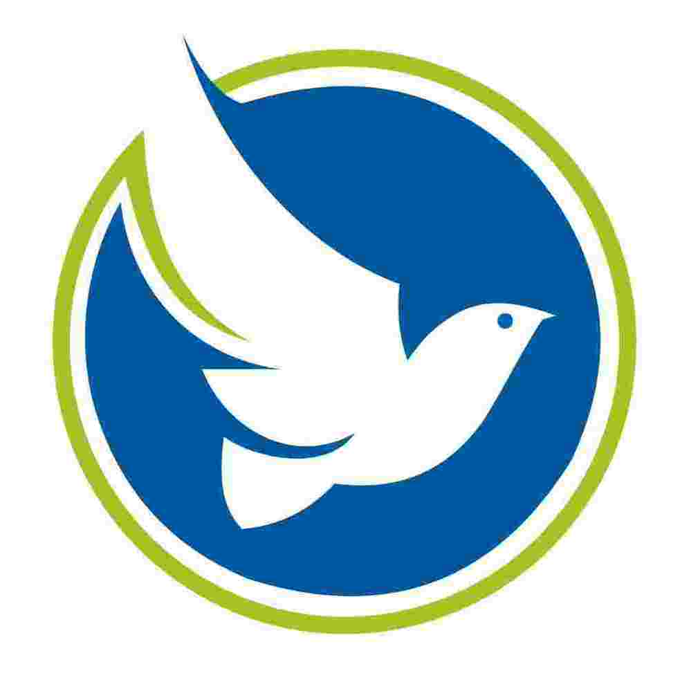 Bluebird Solar